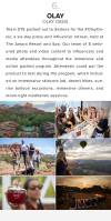 Destination Mobile Layouts6
